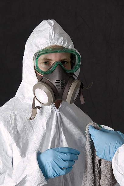 Best Industrial Mold Remediation  in USA